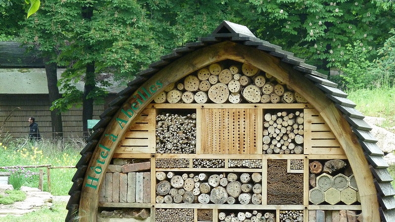 Fabriquer Un Hôtel à Insectes Dans Son Jardin - 
