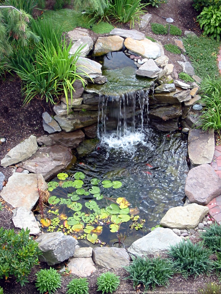 Bassin de jardin : quel prix pour aménager un joli point d'eau ?